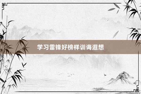 学习雷锋好榜样训诲遐想