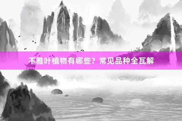 不雅叶植物有哪些？常见品种全瓦解