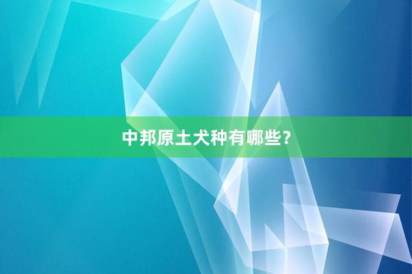 中邦原土犬种有哪些？