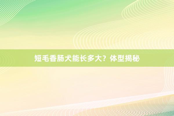 短毛香肠犬能长多大？体型揭秘
